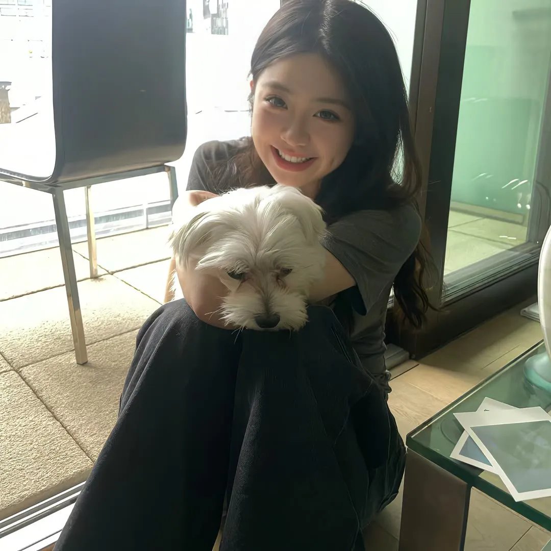 狡猾的兔小姐